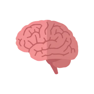 Brain AAC symbol