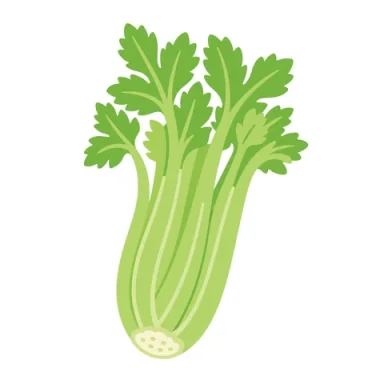 Celery AAC picture communication symbol